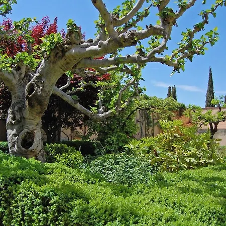 Un Vergel Al Pie De La Alhambra. Enjoy It Now!! * Granada